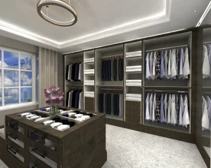 Wardrobe Interior Design