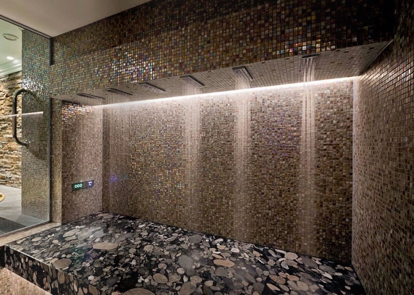 Wellness Shower Design